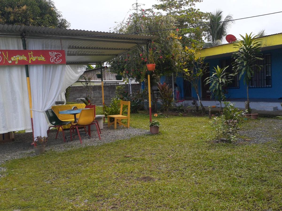 Rooms Palmeras Cahuita Bagian luar foto