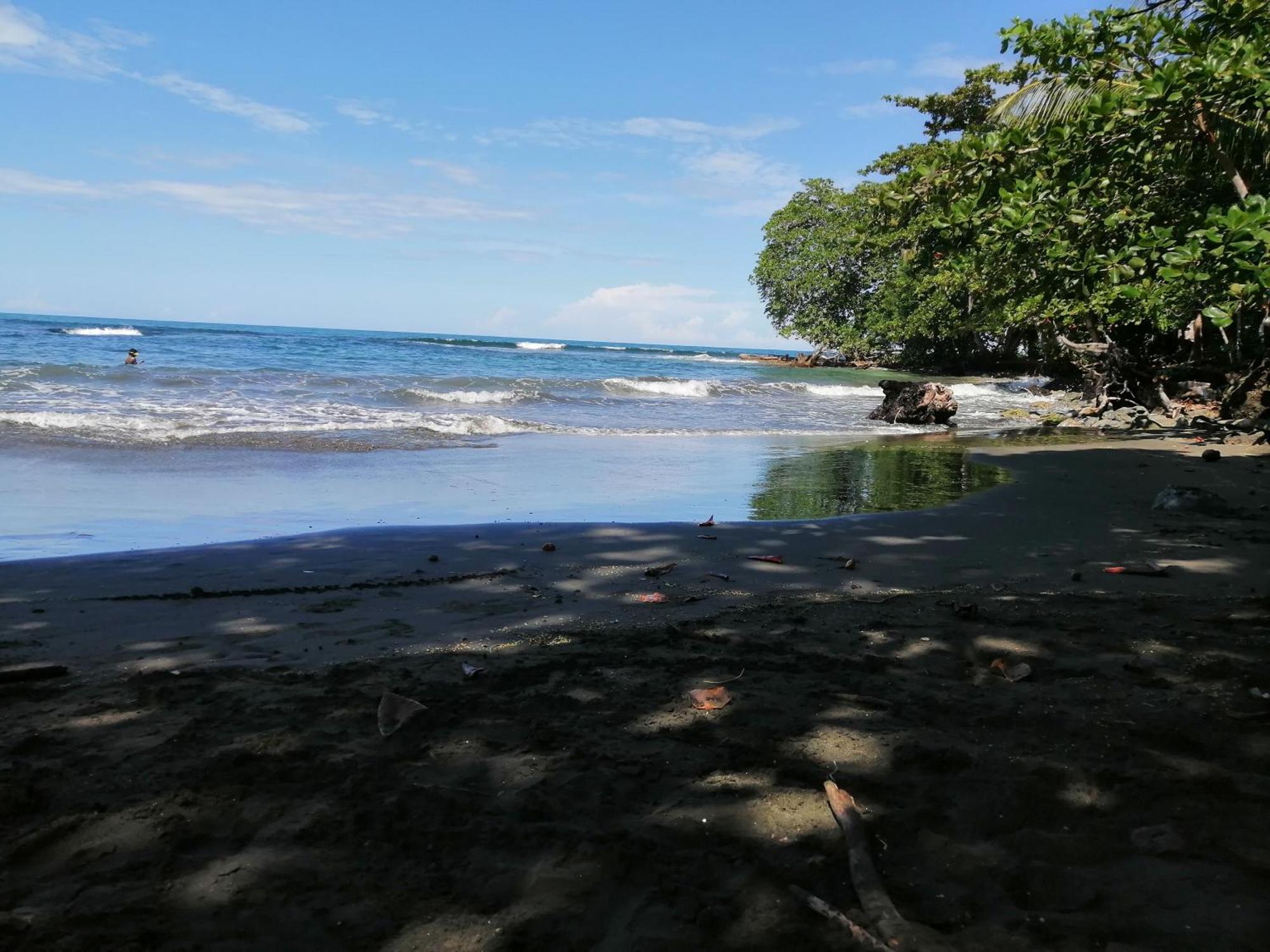 Rooms Palmeras Cahuita Bagian luar foto