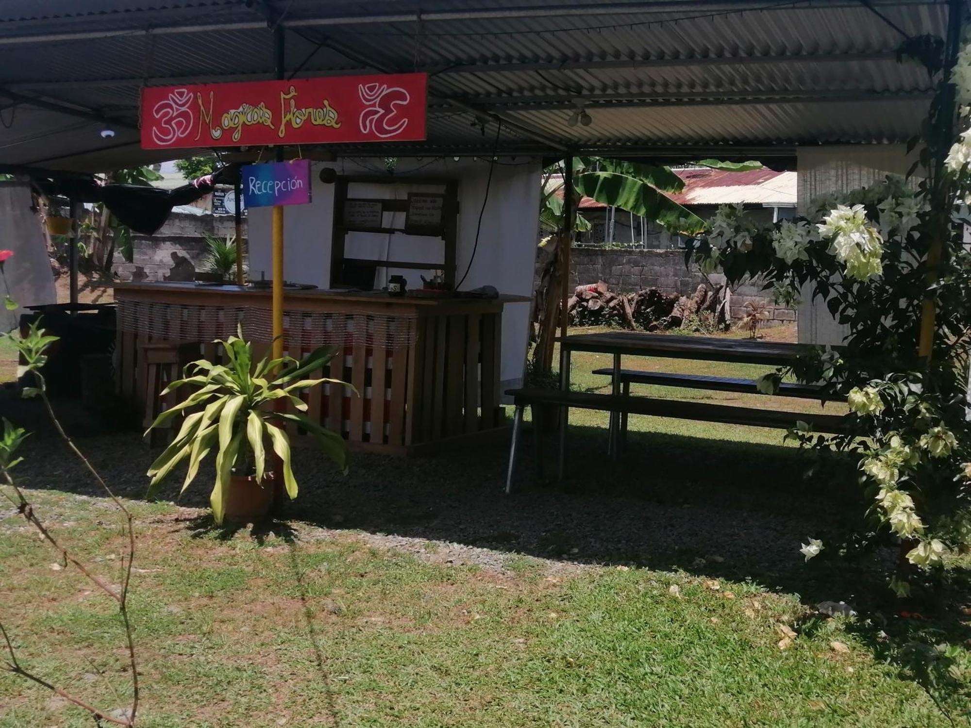 Rooms Palmeras Cahuita Bagian luar foto